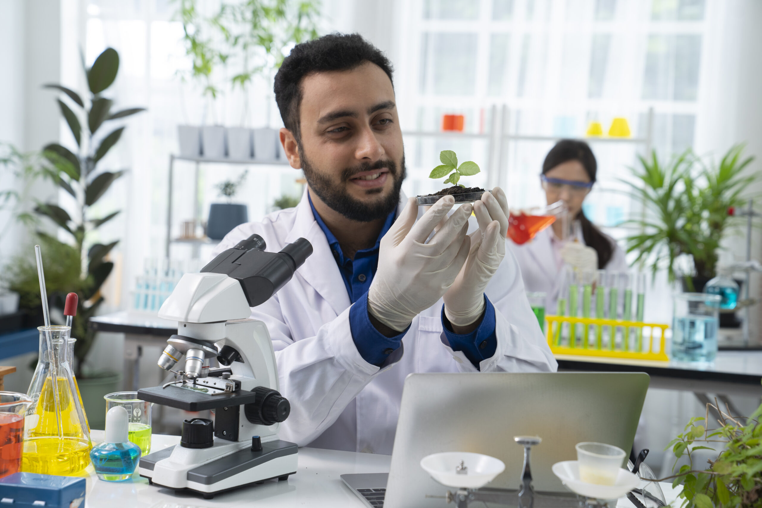 Phytomedicinal Research Team